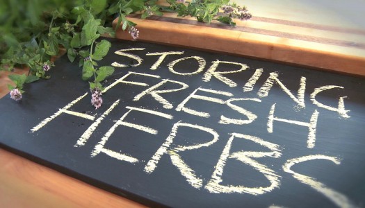 Storing Fresh Herbs