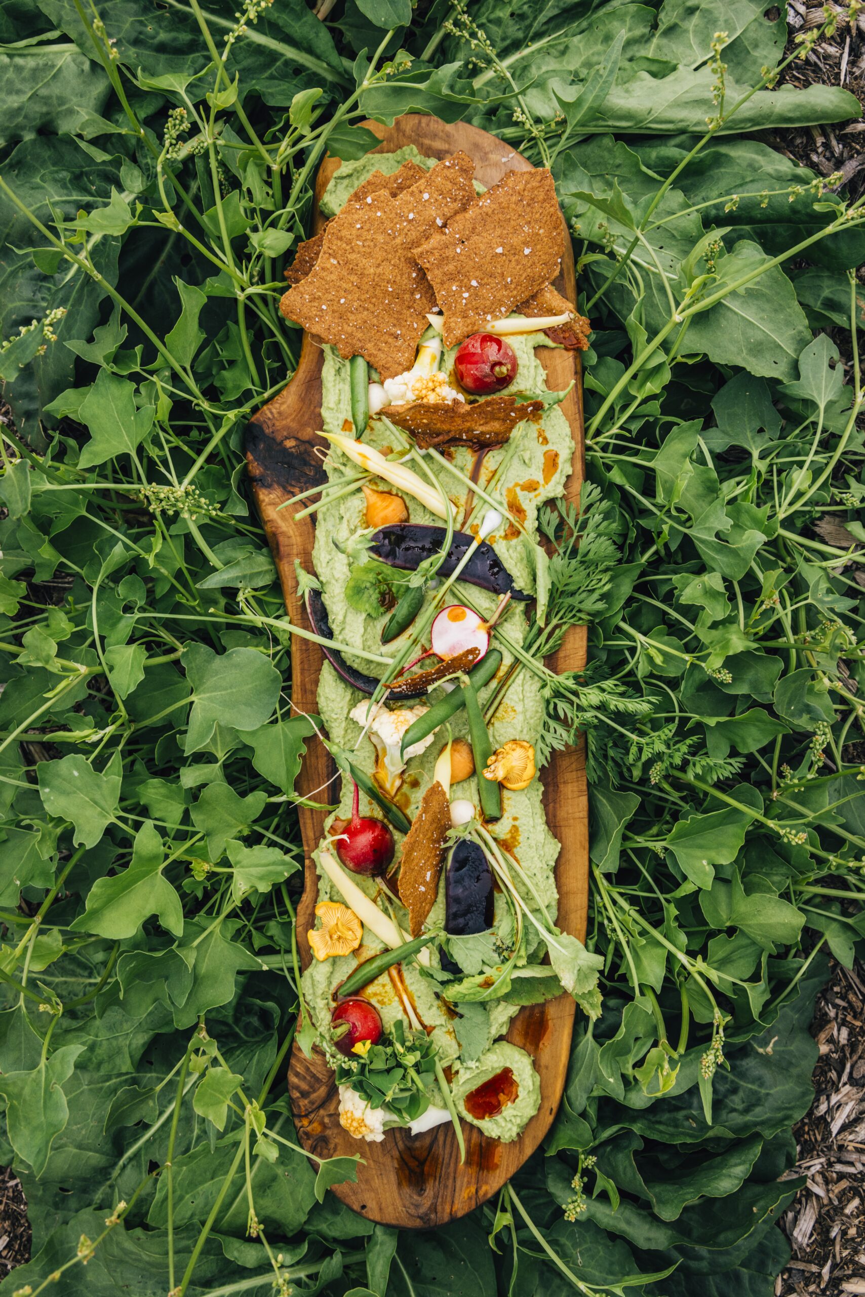Sorrel Hummus - Sourdough Crackers | Sumac Chili Oil - Chef Michael Smith